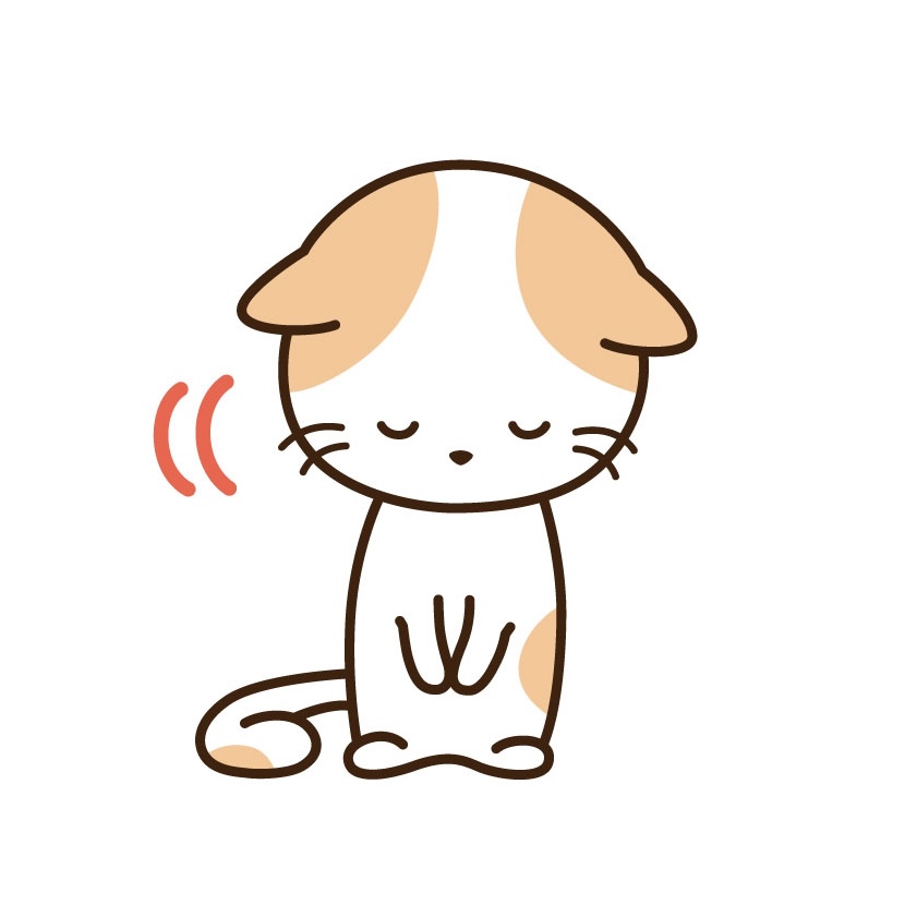 お知らせ用画像